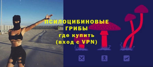 индика Балабаново