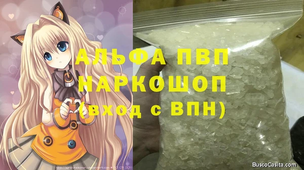 индика Балабаново