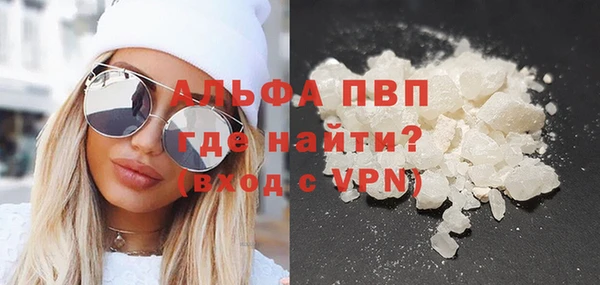 индика Балабаново