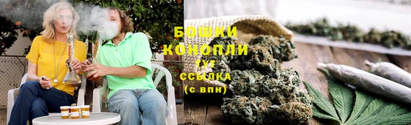ПСИЛОЦИБИНОВЫЕ ГРИБЫ Балахна
