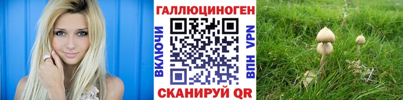 Псилоцибиновые грибы Cubensis  Гуково 